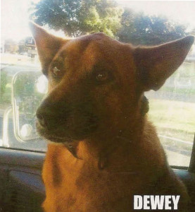 Dewey